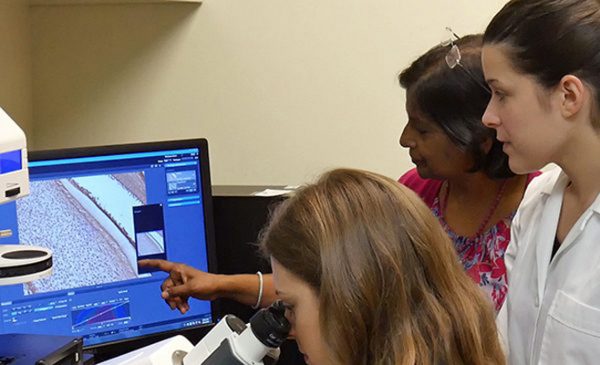 dental students look at scan images with faculty member