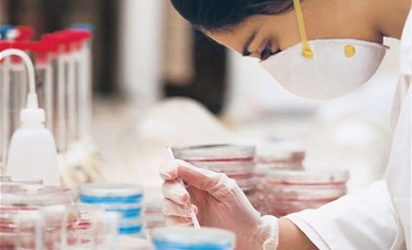 female scientist looks into petri dish