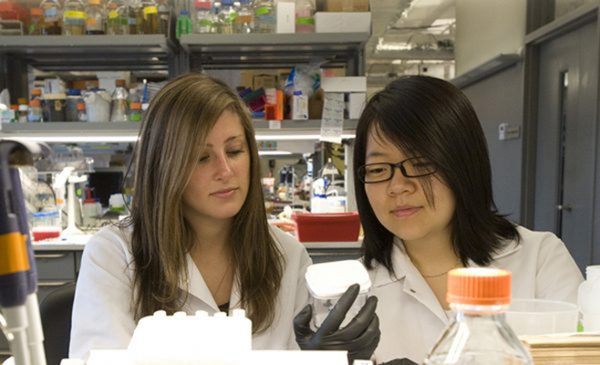 pharmacy students examine a lab specimen 