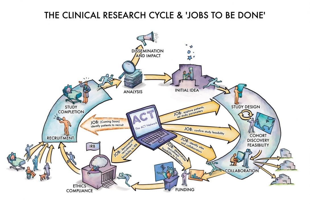 Цикл исследования. Research Cycle. Job Cycle. Act on research work.