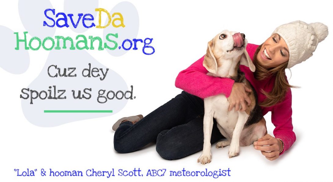 Lola the dog and her human, Cheryl Scott ABC 7 meteorologist