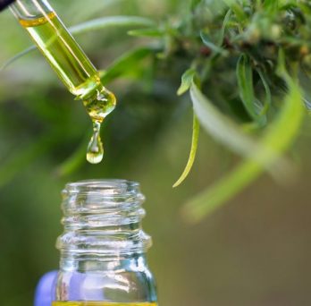 UChicago researchers found that the COVID-blocking effects of CBD come only from a high-purity, specially formulated dose taken in specific situations. The study’s findings do not suggest that consuming commercially available products with CBD additives that vary in potency and quality can prevent COVID-19. 