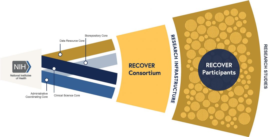 NIH recover infrastructure, including core components, consortium cluster, research infrastructure, participants and research studies