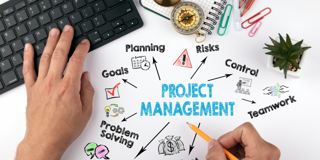 project management aspects- planning, risks, control, goals, teamwork, problem solving