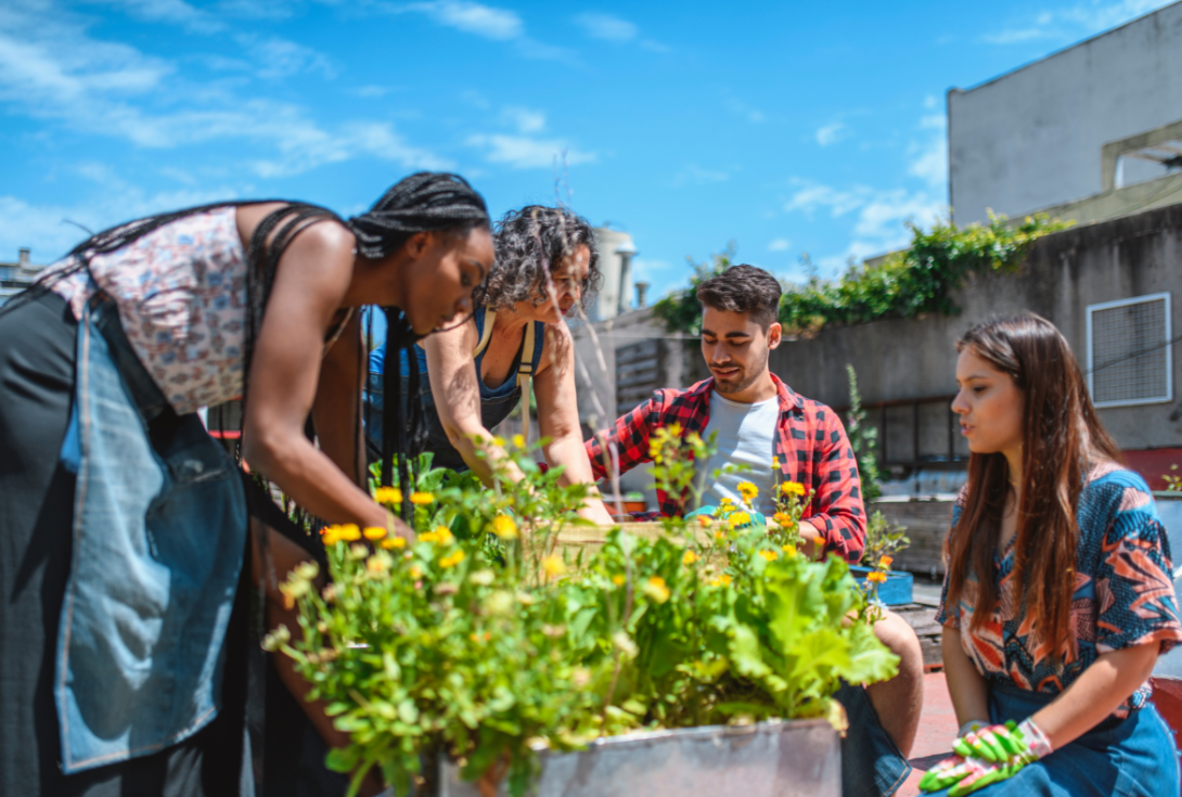 people gardening