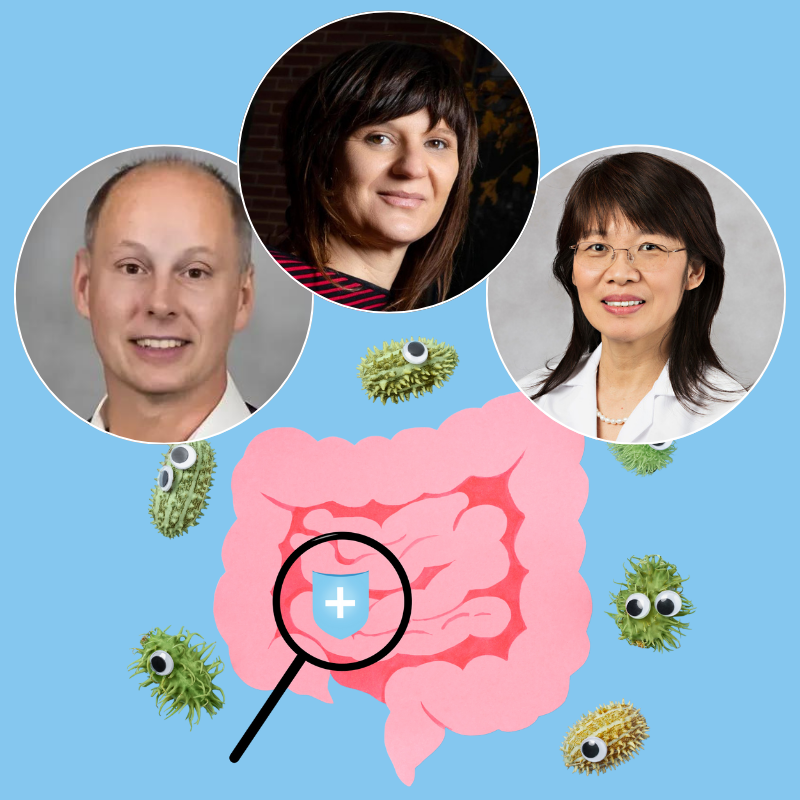 Graphic depiction of intestines and gut microbes with headshots of Michael Ragozzino, Beatriz Peñalver Bernabé and Jun Sun